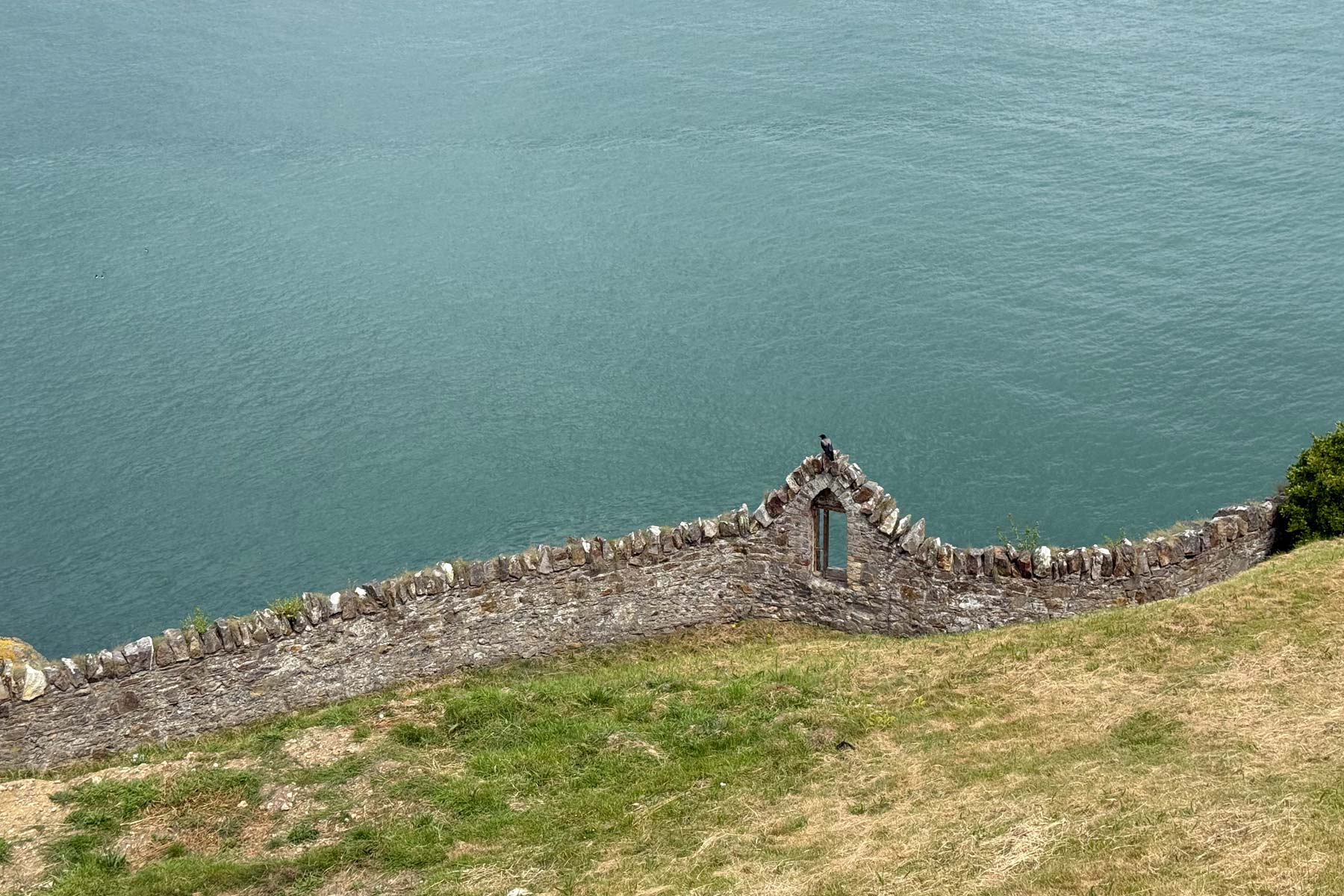 A bird perched on a stone ruin overlooking the ocean in Howth, Ireland